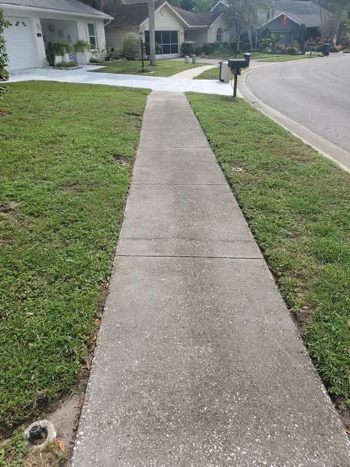 Before: Concrete front walk dulled with dirt and mildew